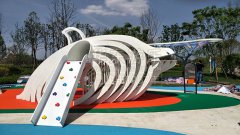 完美wm365体育游乐贵州贵阳龙里案例